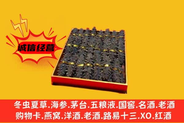 修文县回收海参